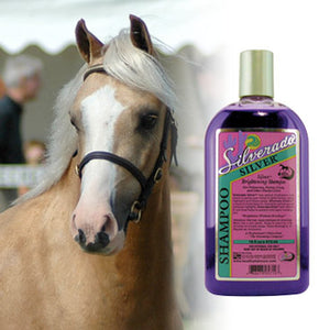 Healthy Hair Care SILVER SHAMPO